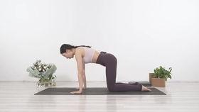 瑜伽基本视频,跟随基本视频轻松掌握瑜伽技巧