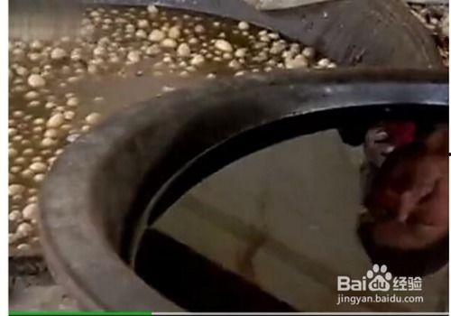 蚕茧怎么抽丝视频教程,视频教程带你走进丝线诞生之旅