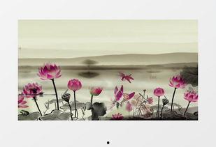 水墨荷花视频,淡雅意境中的自然之美