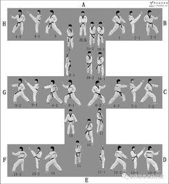 太极6章教学视频,深入解析传统武术精髓与实战技巧