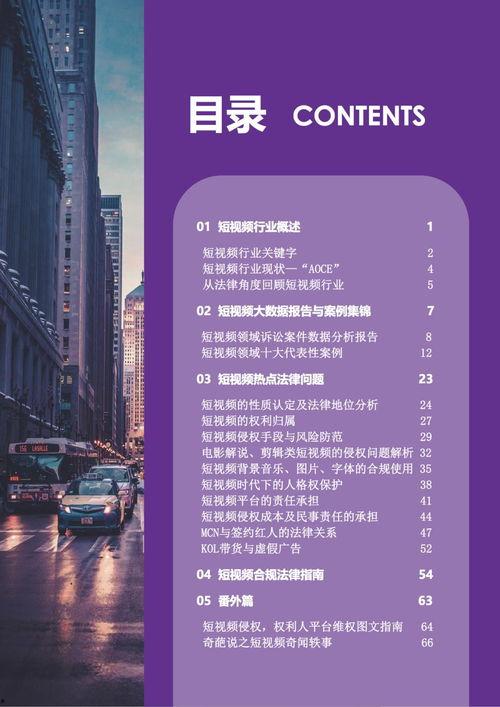 法律视频案例,视频中的法律智慧与启示