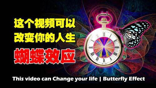 蝴蝶效应小视频,微小变化引发巨大影响的惊人启示