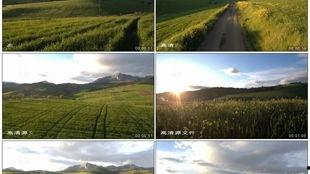 户外视频素材,捕捉自然之美瞬间