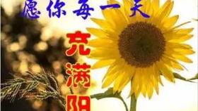 群祝福视频,温馨瞬间，共庆美好时光