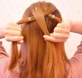 蝎子辩视频,揭秘神秘生物的生存智慧与进化之谜