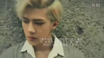 灿兴视频,探索视觉盛宴的无限魅力