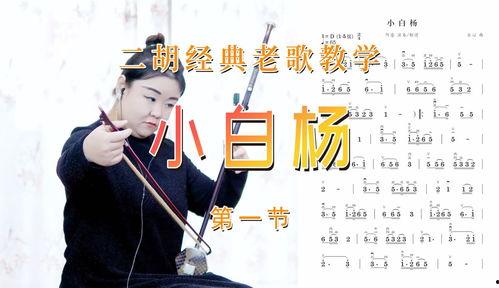 二胡入门视频教学,轻松掌握民族乐器演奏技巧