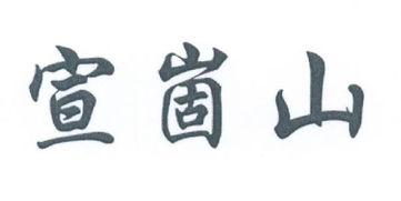 孙富强视频,揭秘成功之道与人生智慧