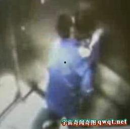 野外活春视频实拍,活春盎然的自然奇观