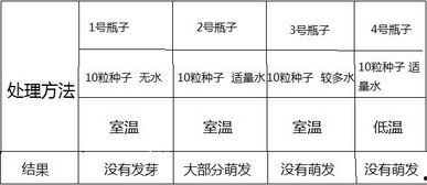 初一生物实验视频,初一生物实验视频深度解析