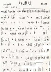 g调笛子演奏视频