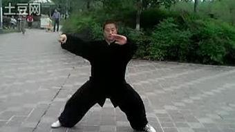 陈氏太极拳74式视频,传承经典，动静结合的养生之道